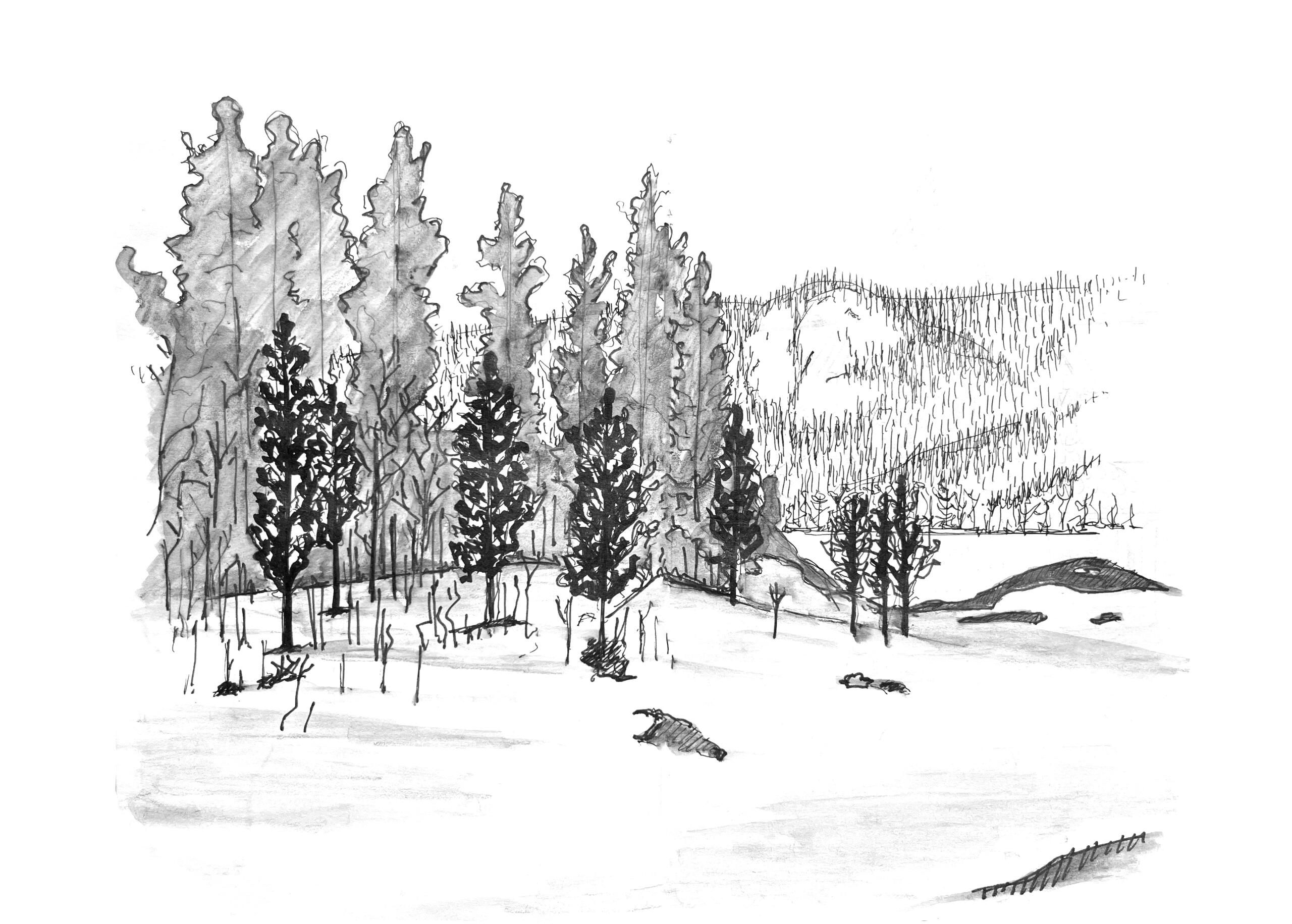 25_Fonhuskoia, Norwegen 2025